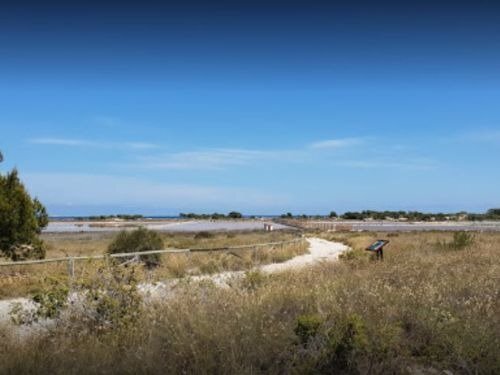 Land in Elche, Alicante for sale - Building Photo - Image 3 of 6