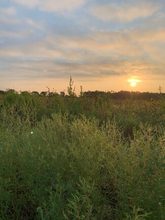 More details for CR4110 CR 4110, Blooming Grove, TX - Land for Sale