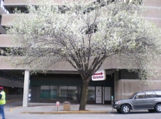 More details for 1237 Washington St, Columbia, SC - Retail for Lease