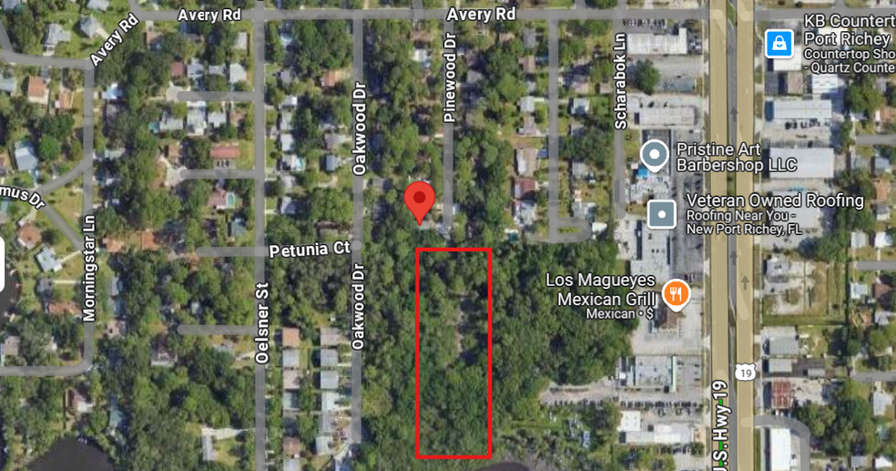 Pinewood Dr, New Port Richey, FL for sale - Building Photo - Image 2 of 6