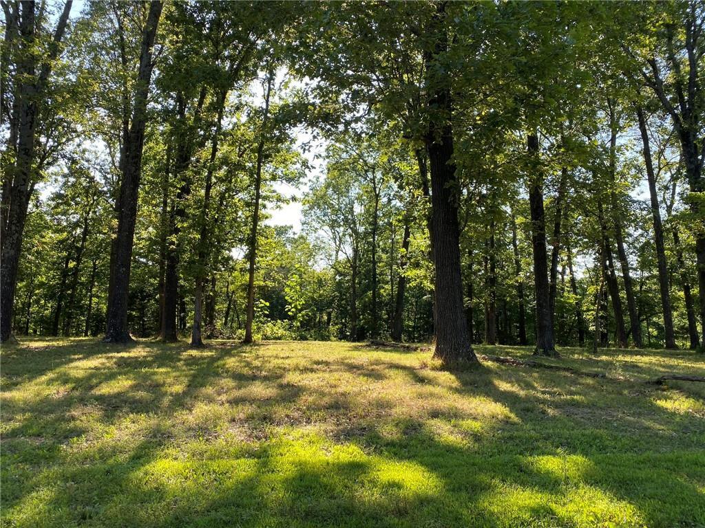 2855 Peck Rd, Pea Ridge, AR 72751