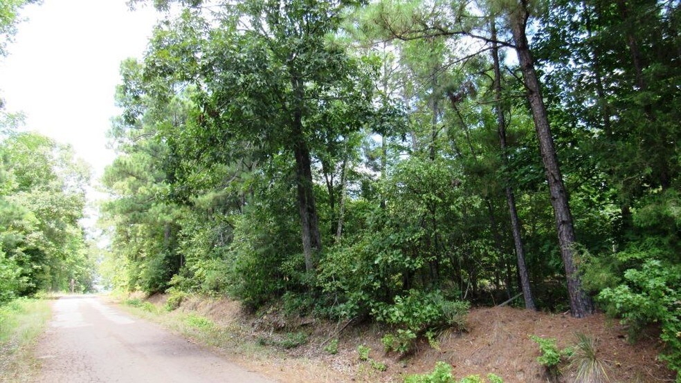 Tbd Fisher Rd, Jefferson, TX for sale - Other - Image 1 of 1