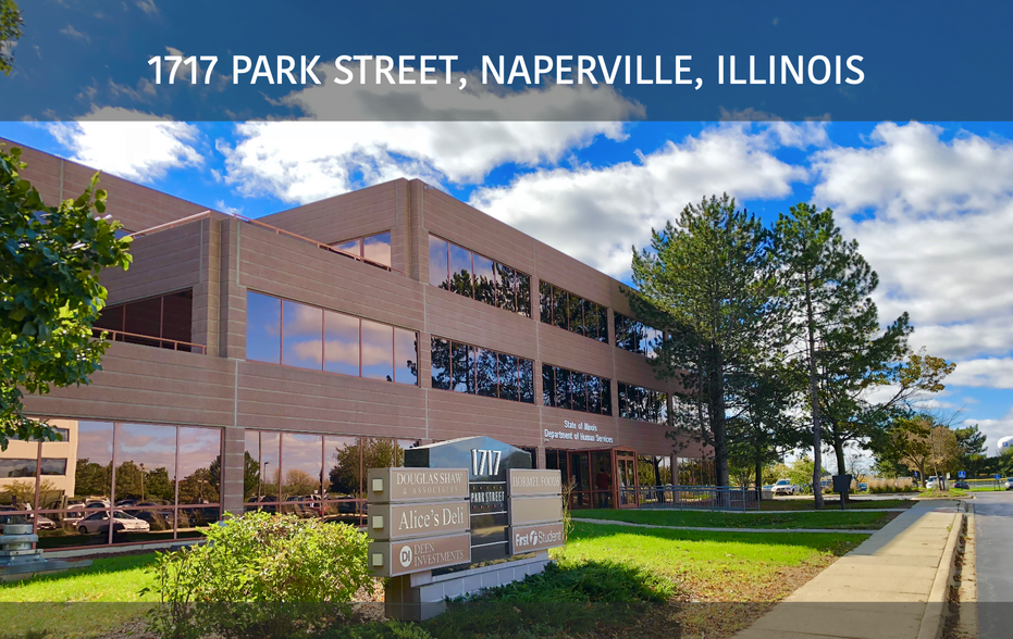 1717 Park St, Naperville, IL for lease - Building Photo - Image 1 of 2