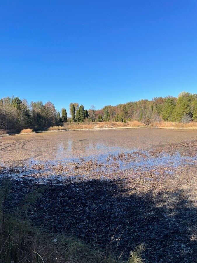 1621 Long Branch rd, Kings Mountain, NC 28086 Land for Sale