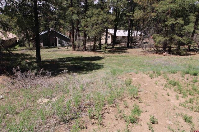 2090 County Road 600, Pagosa Springs, CO for sale - Building Photo - Image 2 of 3