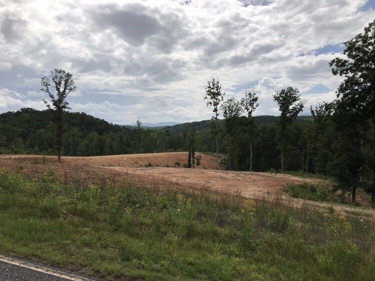 County Line Rd, Mill Spring, NC for sale Other- Image 1 of 1