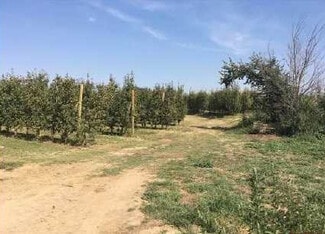 More details for Land for Sale