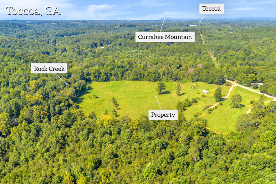 8 Fornoff Dr, Toccoa, GA for sale - Building Photo - Image 2 of 25