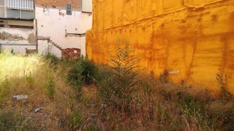 Carrer de Murillo, 112, Terrassa, Barcelona for sale - Other - Image 3 of 3