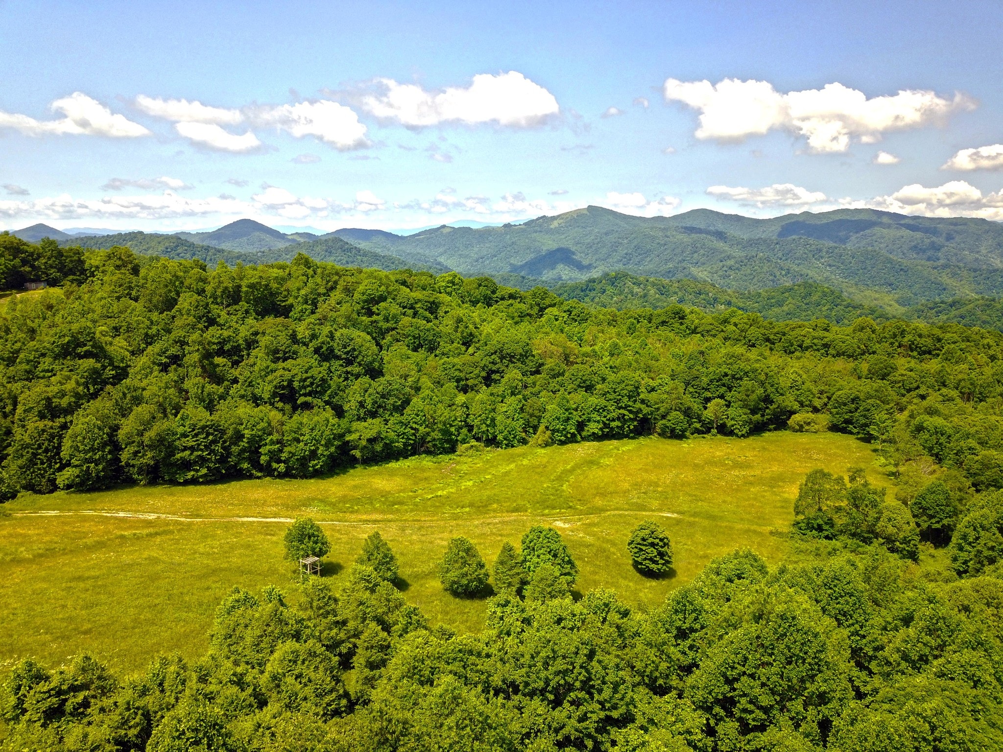 Tbd Fox Run, Hot Springs, NC for sale Primary Photo- Image 1 of 1