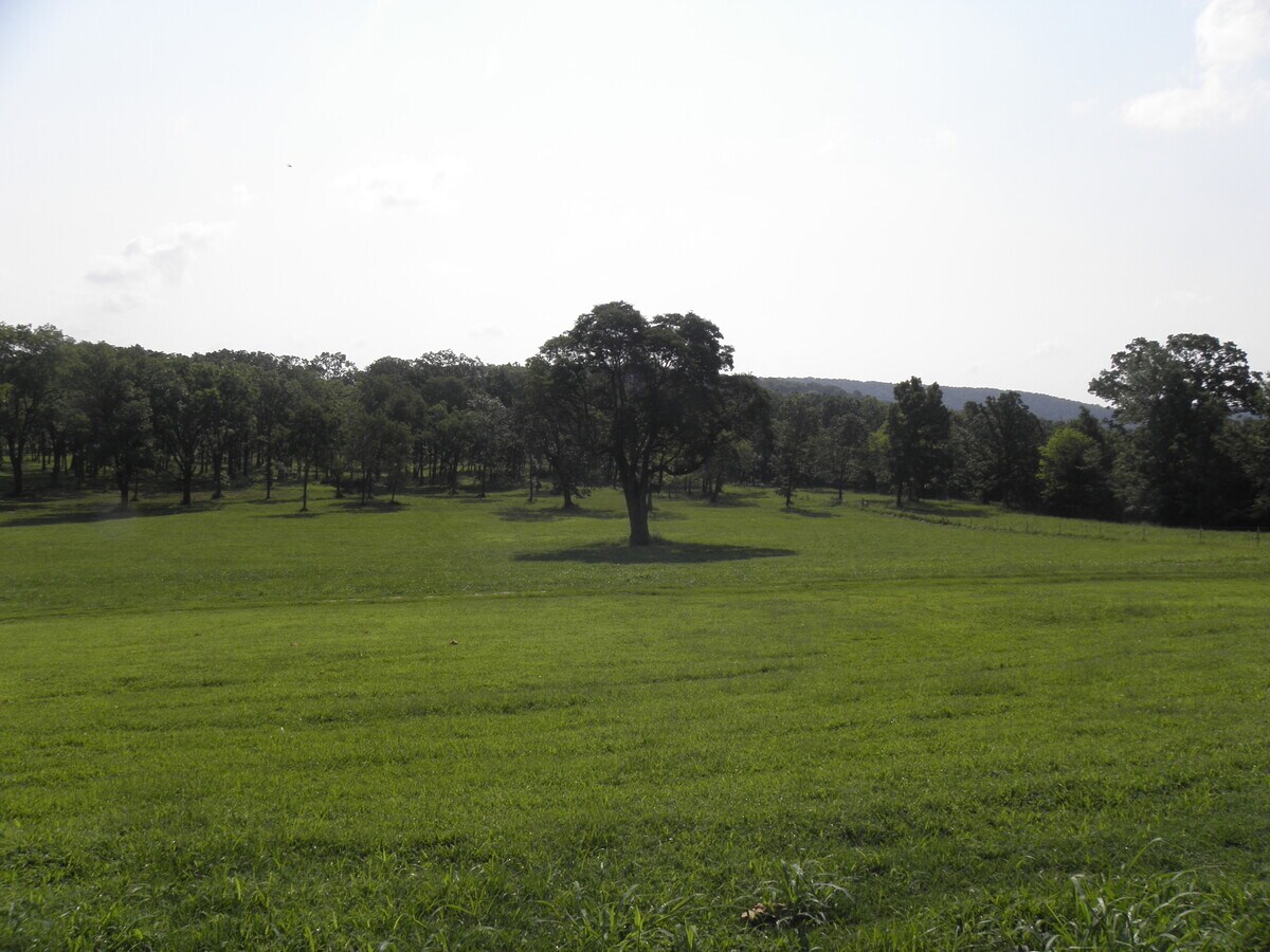 View Photo