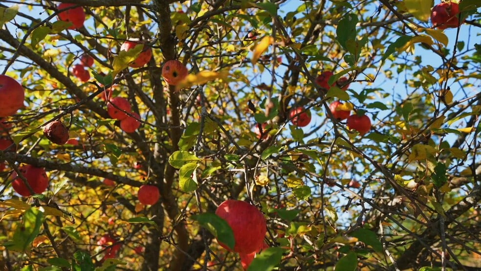 2441 7th Line, Port Hope, ON for sale - Commercial Listing Video - Image 2 of 17