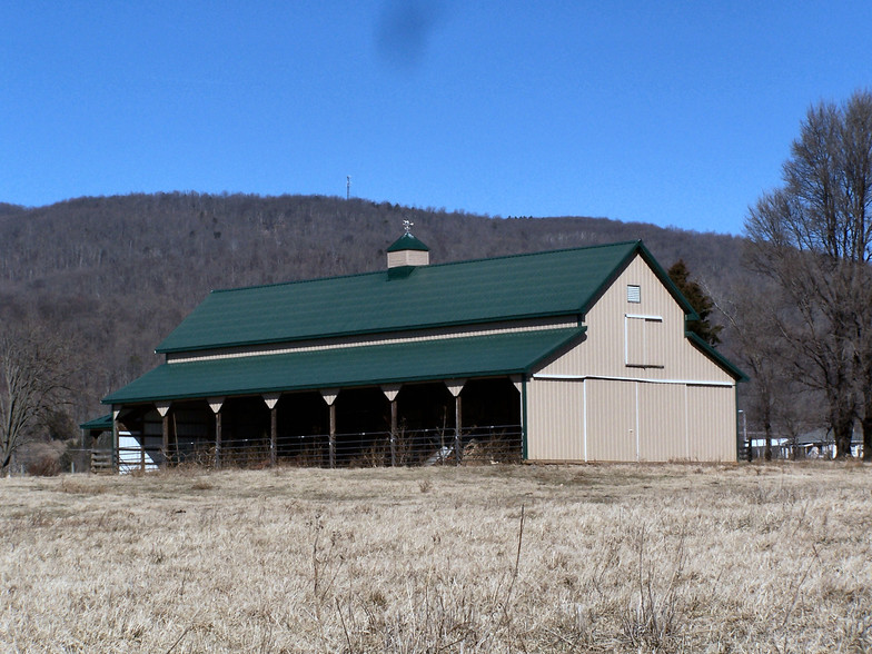 1625 Nester Rd, Thaxton, VA for sale - Other - Image 1 of 1