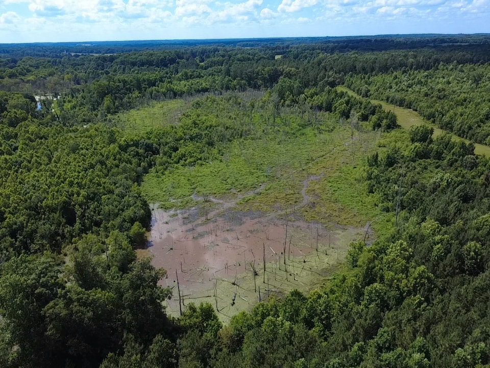2318 State Rd, Newberry, SC for sale Other- Image 1 of 8