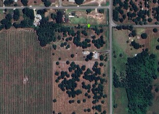 More details for Old Bradenton Rd, Wauchula, FL - Land for Sale