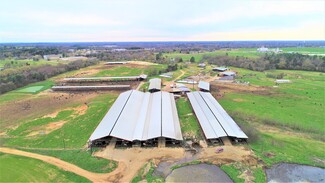 More details for 248 County Road 4310, Winnsboro, TX - Land for Sale