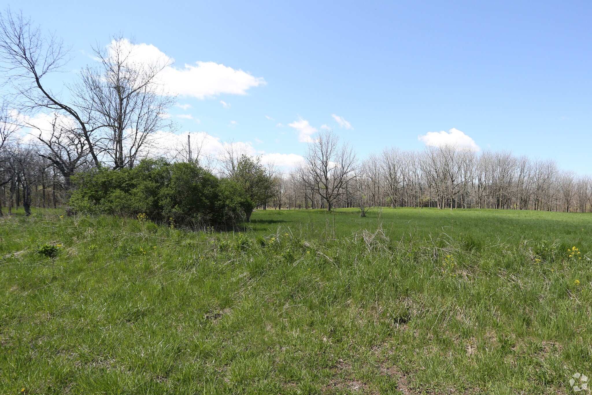669 Youngs Rd, Amherst, NY for sale Primary Photo- Image 1 of 1