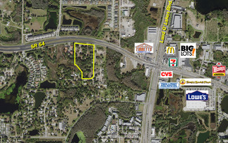 More details for 20826 State 54 Rd, Lutz, FL - Land for Sale