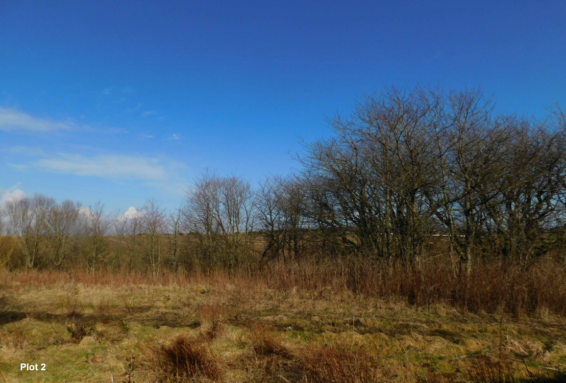 Auchleuchries, Hatton for sale Primary Photo- Image 1 of 1