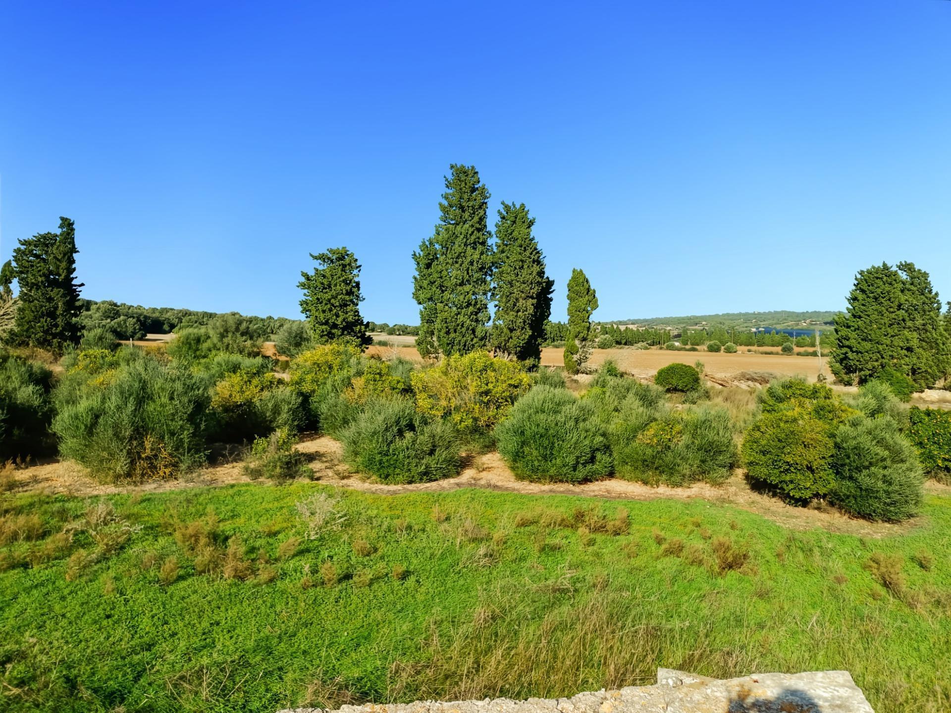 Land in Petra, Islas Baleares for sale Aerial- Image 1 of 9