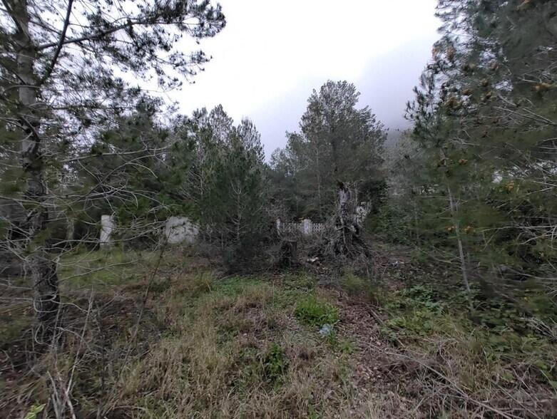 Land in Xàtiva for sale - Building Photo - Image 3 of 14
