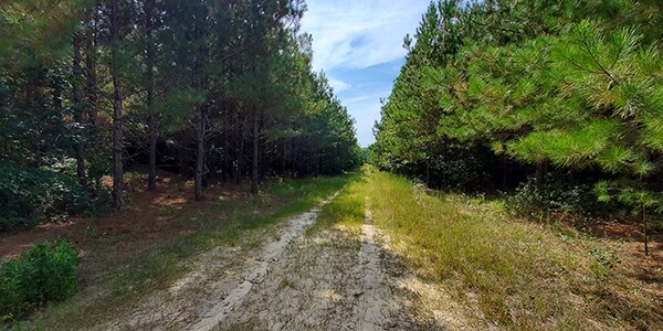 000 New Design Rd, Dendron, VA for sale Primary Photo- Image 1 of 1
