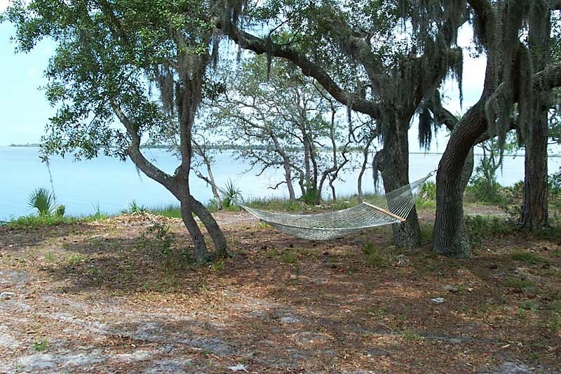 Clark Is, Cedar Key, FL for sale Other- Image 1 of 1