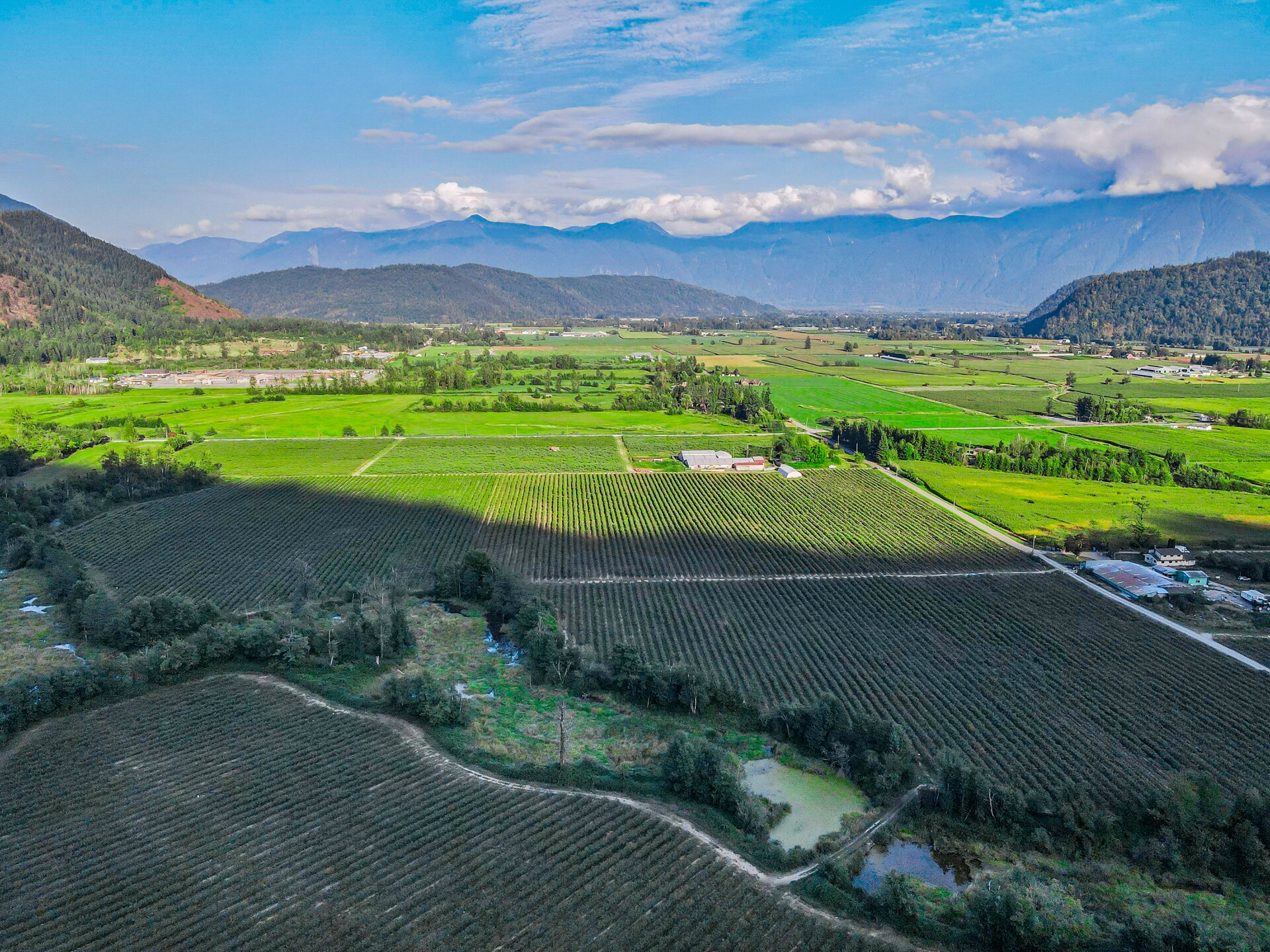 4323 Humphrey Rd, Agassiz, BC V0M 1A0 Land for Sale