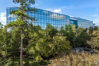 More details for 10077 Grogans Mill Rd, The Woodlands, TX - Office for Lease