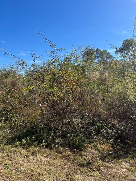 0 Woodbridge Drive, Laurinburg, NC for sale - Building Photo - Image 3 of 5