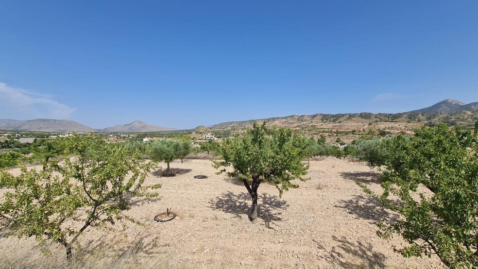 Land in Abanilla for sale - Building Photo - Image 2 of 10