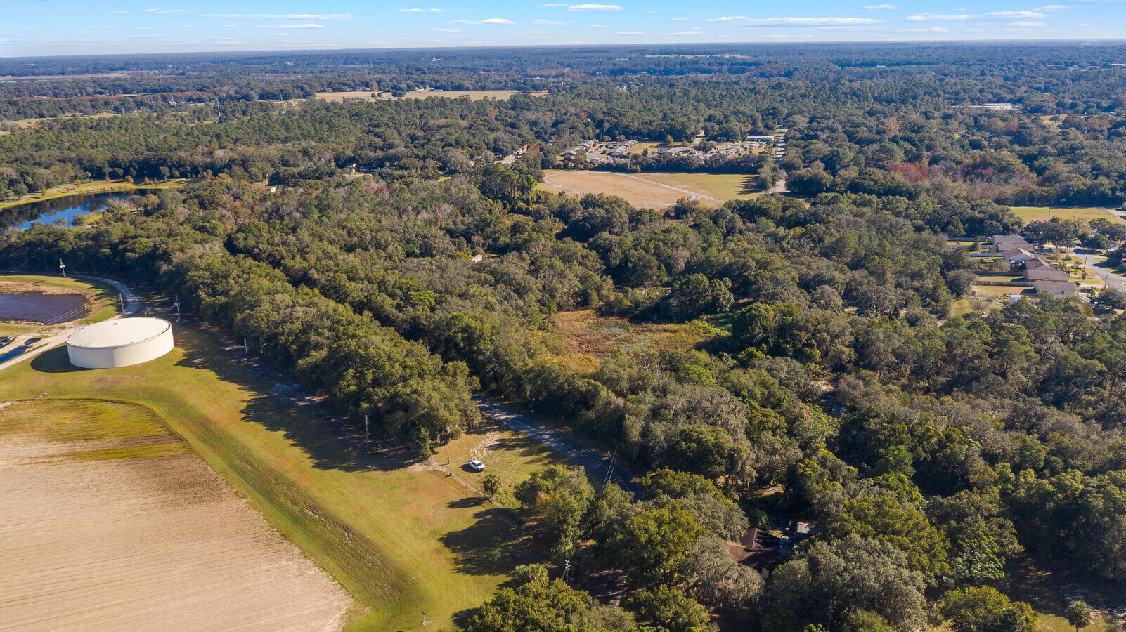 Palmetto, Eustis, FL 32726