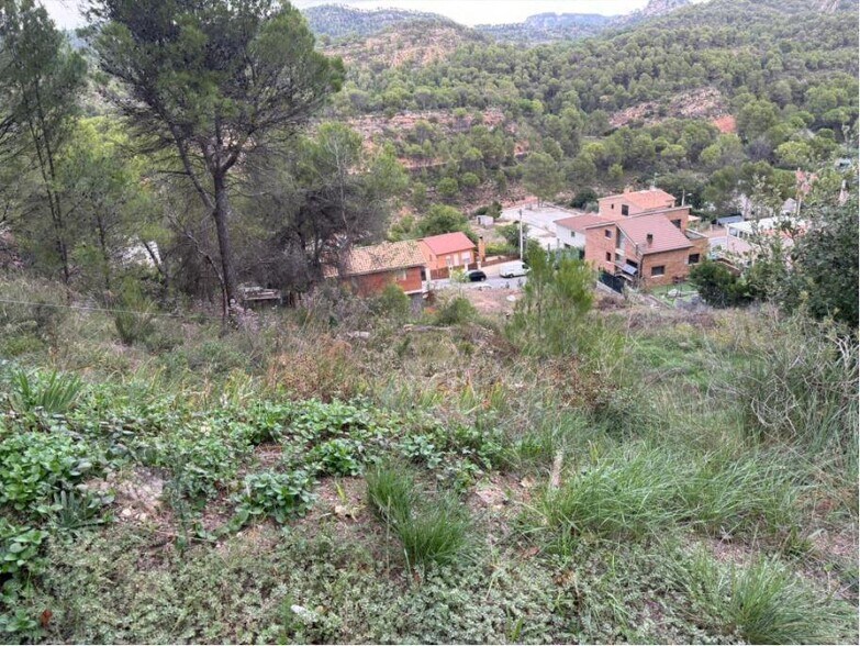Land in La Pobla de Claramunt, Barcelona for sale - Building Photo - Image 3 of 6