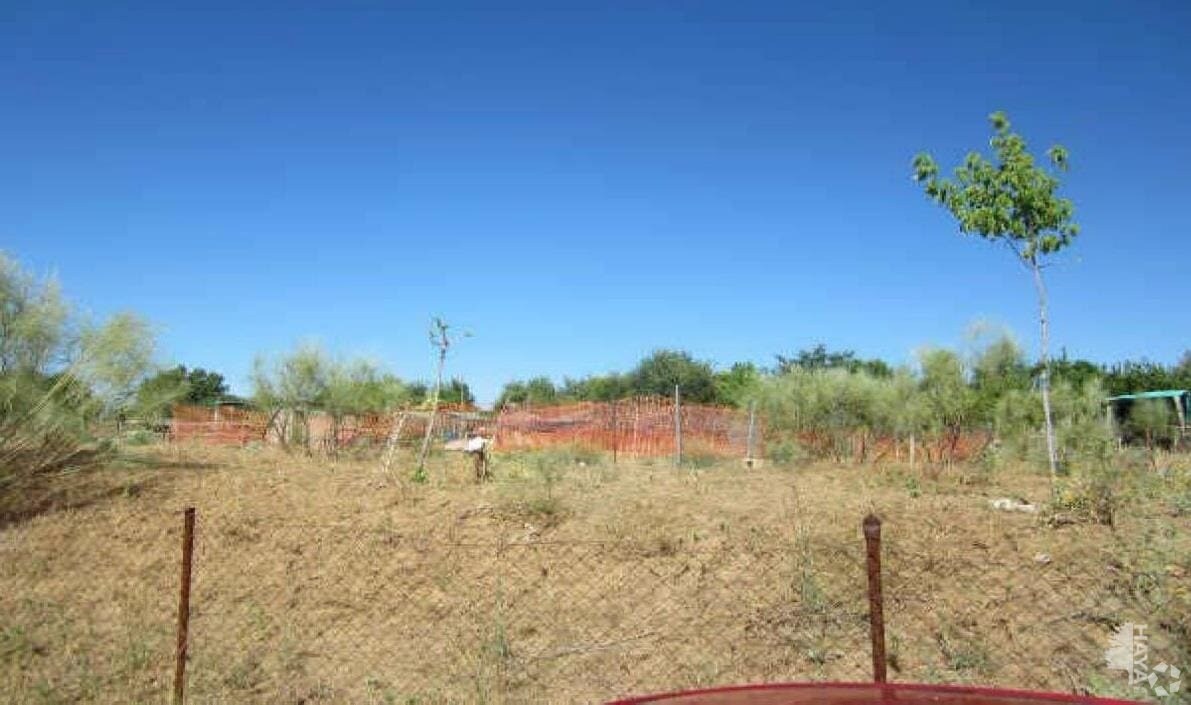 Camino Valdeavero, Fresno de Torote, Madrid for sale Primary Photo- Image 1 of 1
