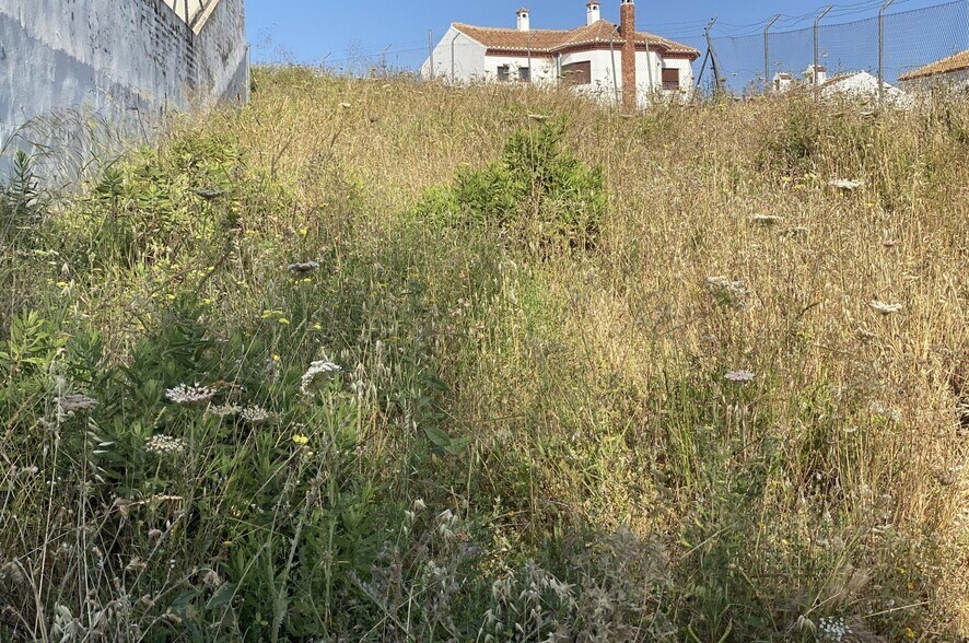 Land in Colmenar, Málaga for sale - Site Plan - Image 1 of 10