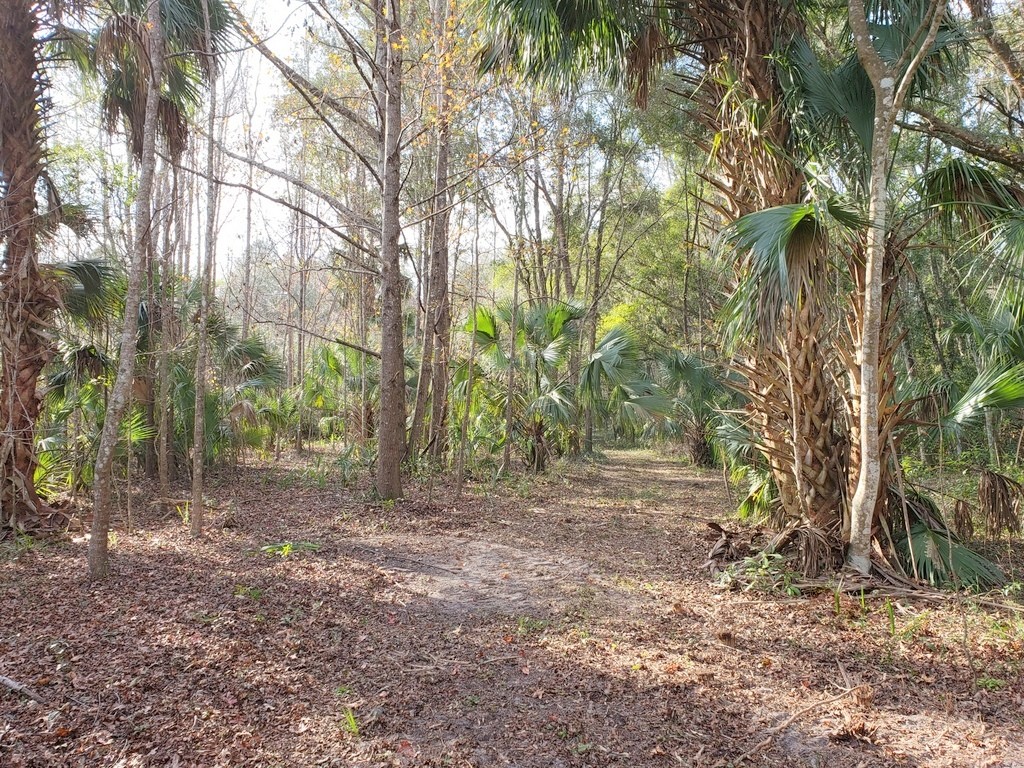 14AC On NE 189th Ln, Citra, FL 32113 | LoopNet