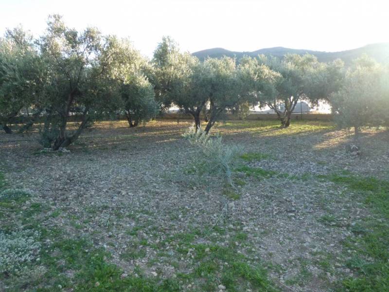 Land in Dalías for sale Building Photo- Image 1 of 17