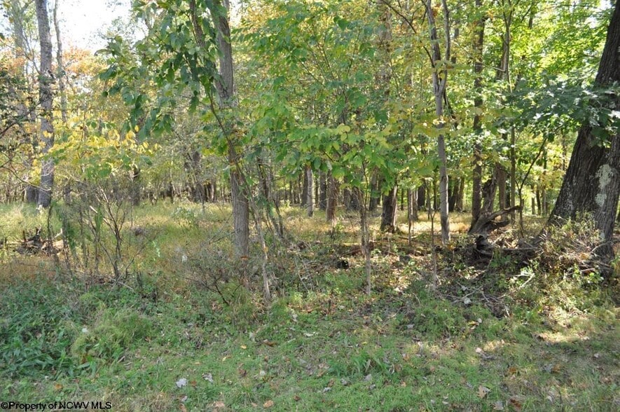 3039 Earl L Core Rd, Morgantown, WV for sale - Other - Image 3 of 9