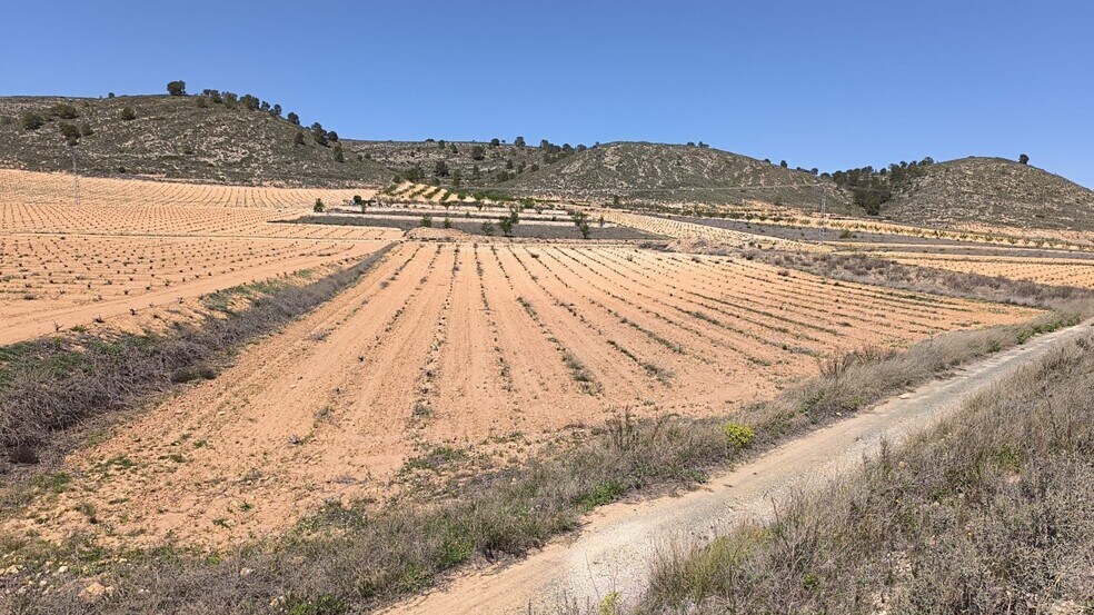 Land in Abanilla for sale - Building Photo - Image 3 of 4