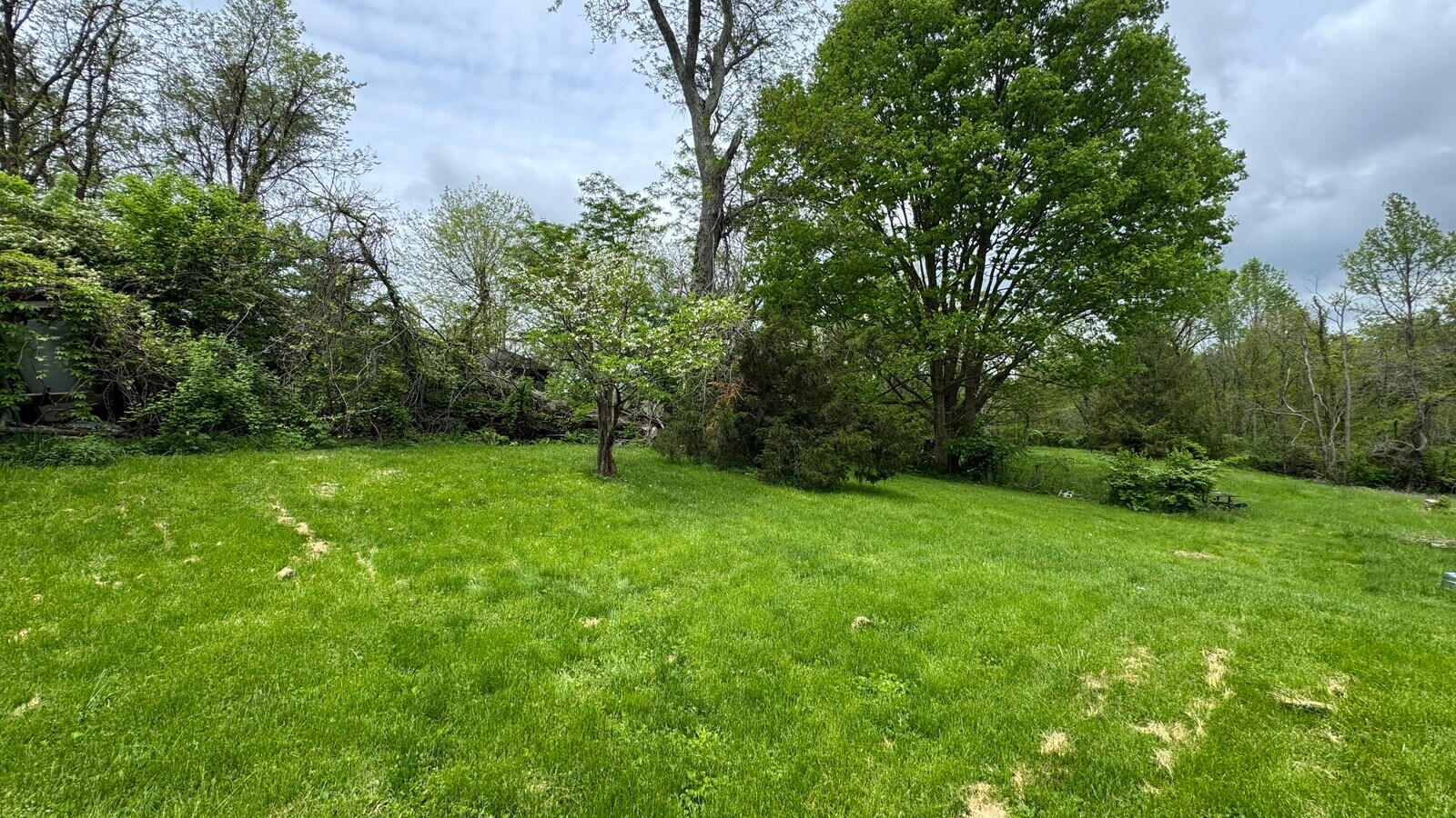 View Photo