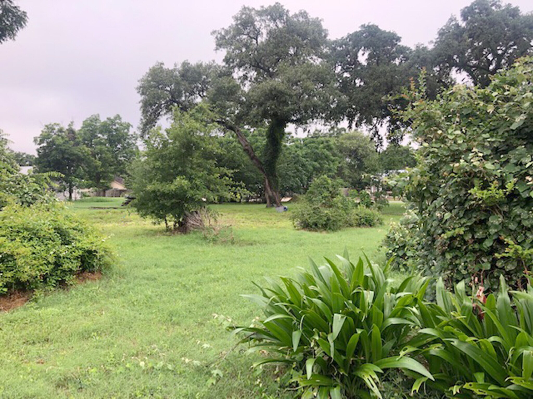 443 N Washington St, La Grange, TX for sale Other- Image 1 of 1