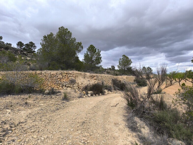 Land in PINOSO for sale - Building Photo - Image 3 of 9