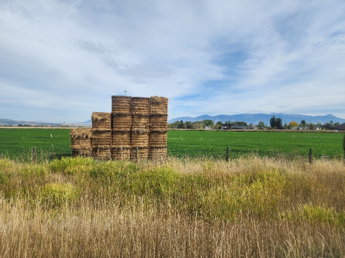 123 Weaver Rd, Belgrade, MT for sale Primary Photo- Image 1 of 8