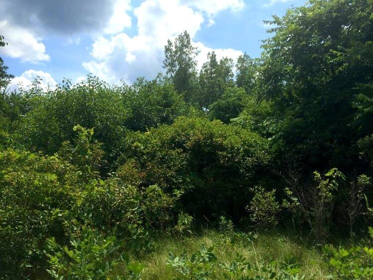 Lapeer Rd, Burton, MI for sale - Primary Photo - Image 1 of 1