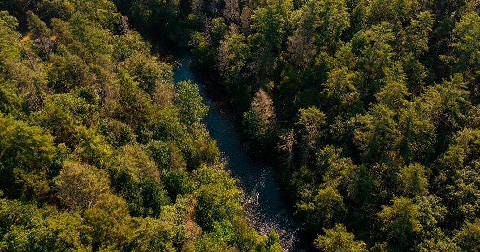 0 Old Rock Creek Rd, Blue Ridge, GA for sale - Building Photo - Image 3 of 24