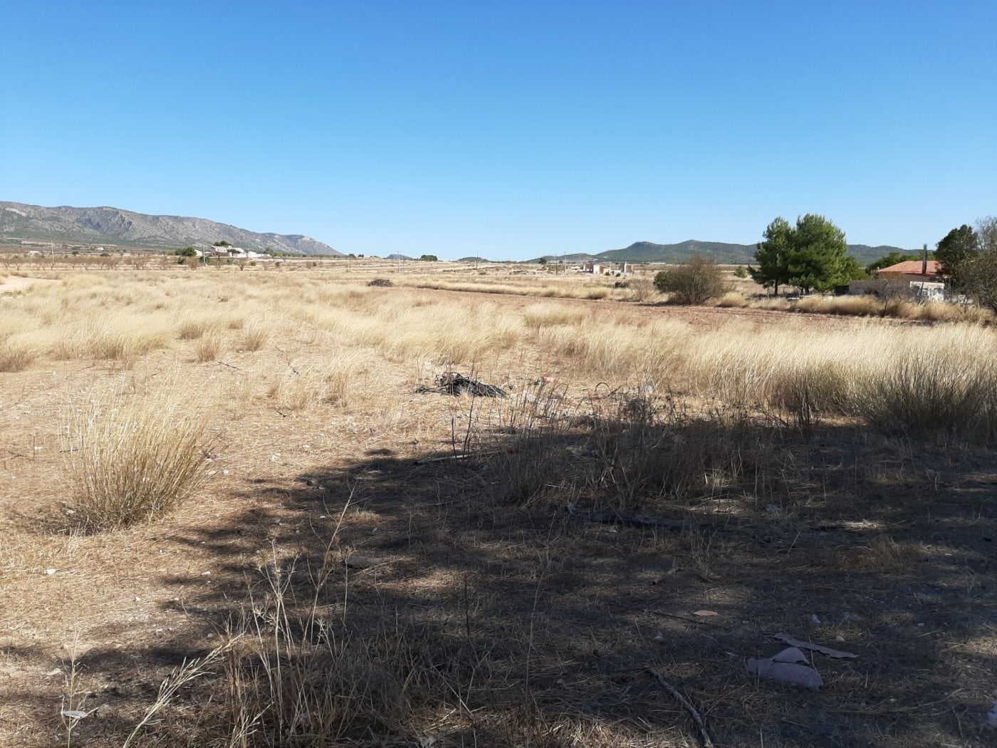 Land in PINOSO for sale Building Photo- Image 1 of 5