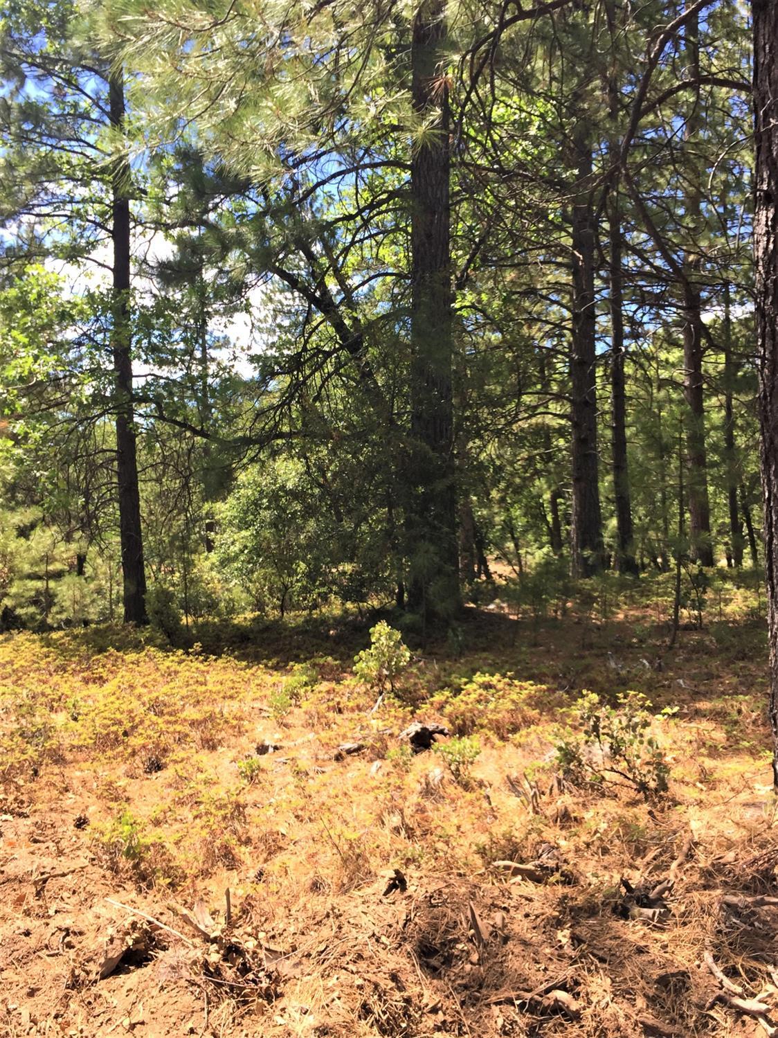 22210 Fiddletown Rd, Fiddletown, CA 95629 Take in the Splendor