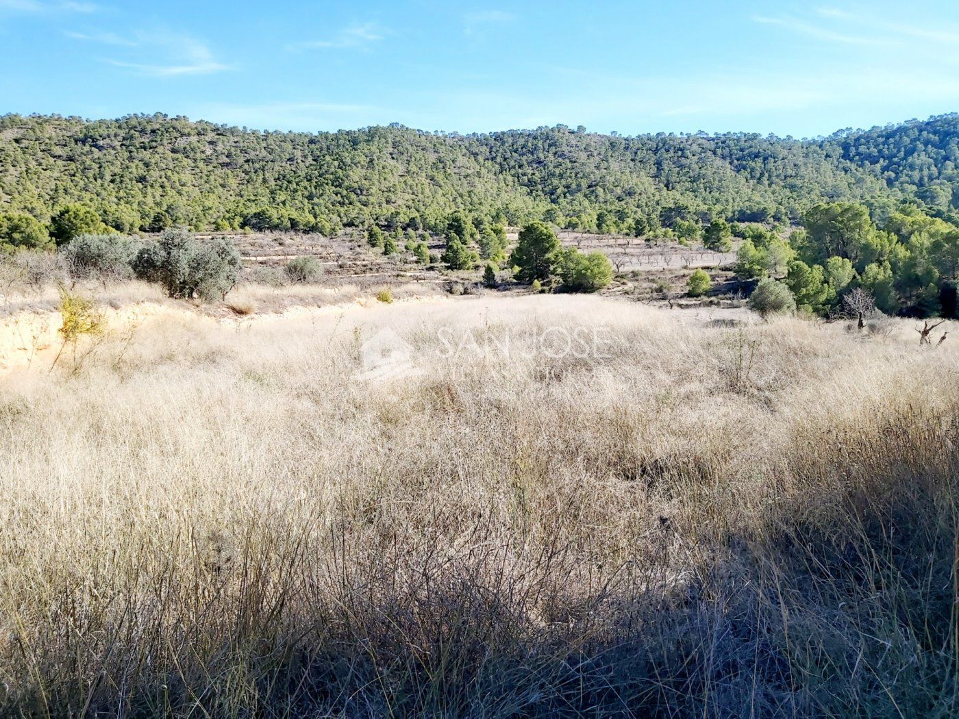 Land in MONÒVER for sale Building Photo- Image 1 of 4