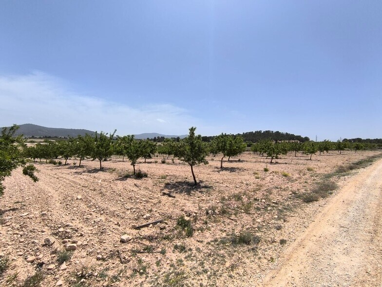 Land in Úbeda for sale - Building Photo - Image 2 of 6