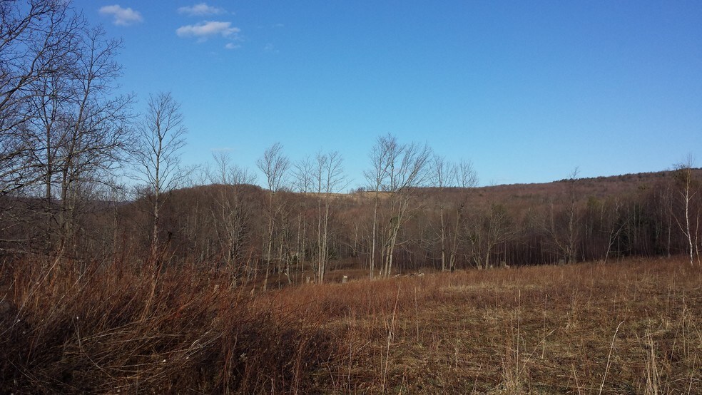 80 Thunder Hl, Neversink, NY 12765